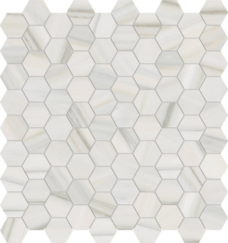 1.25 in. Mayfair Zebrino Hexagon Polished Glazed Porcelain Mosaic - BUILDMYPLACE