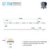 12V Flexible LED Strip Lights W/ DC Connector - 126 Lumens/ft - SMD5050 - IP65 Rated - BUILDMYPLACE