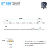 12V LED Strip Lights W/ DC Connector - IP20 - 278 Lumens/ft - SMD2835 Flexible Tape Lighting - BUILDMYPLACE