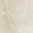 18 X 18 In Classic Pulpis Ivory Matte Pressed Glazed Porcelain - BUILDMYPLACE