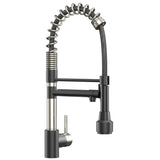 19.29 Inches Single Handle Pull - down Sprayer Kitchen Faucet With Black Plate - BUILDMYPLACE