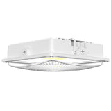 LED Canopy Light