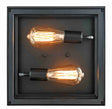 2 - Light Outdoor Ceiling Lights Black Outdoor Flushmount - BUILDMYPLACE