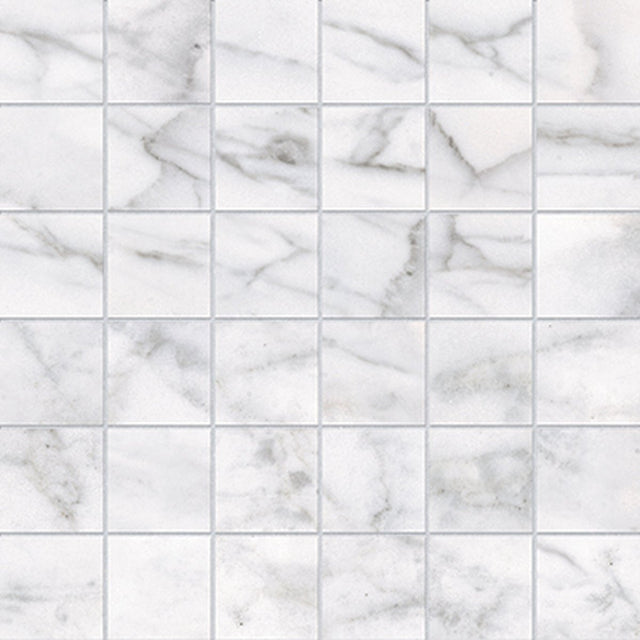 2 X 2 In Classic Carrara Matte Glazed Porcelain Mosaic - BUILDMYPLACE