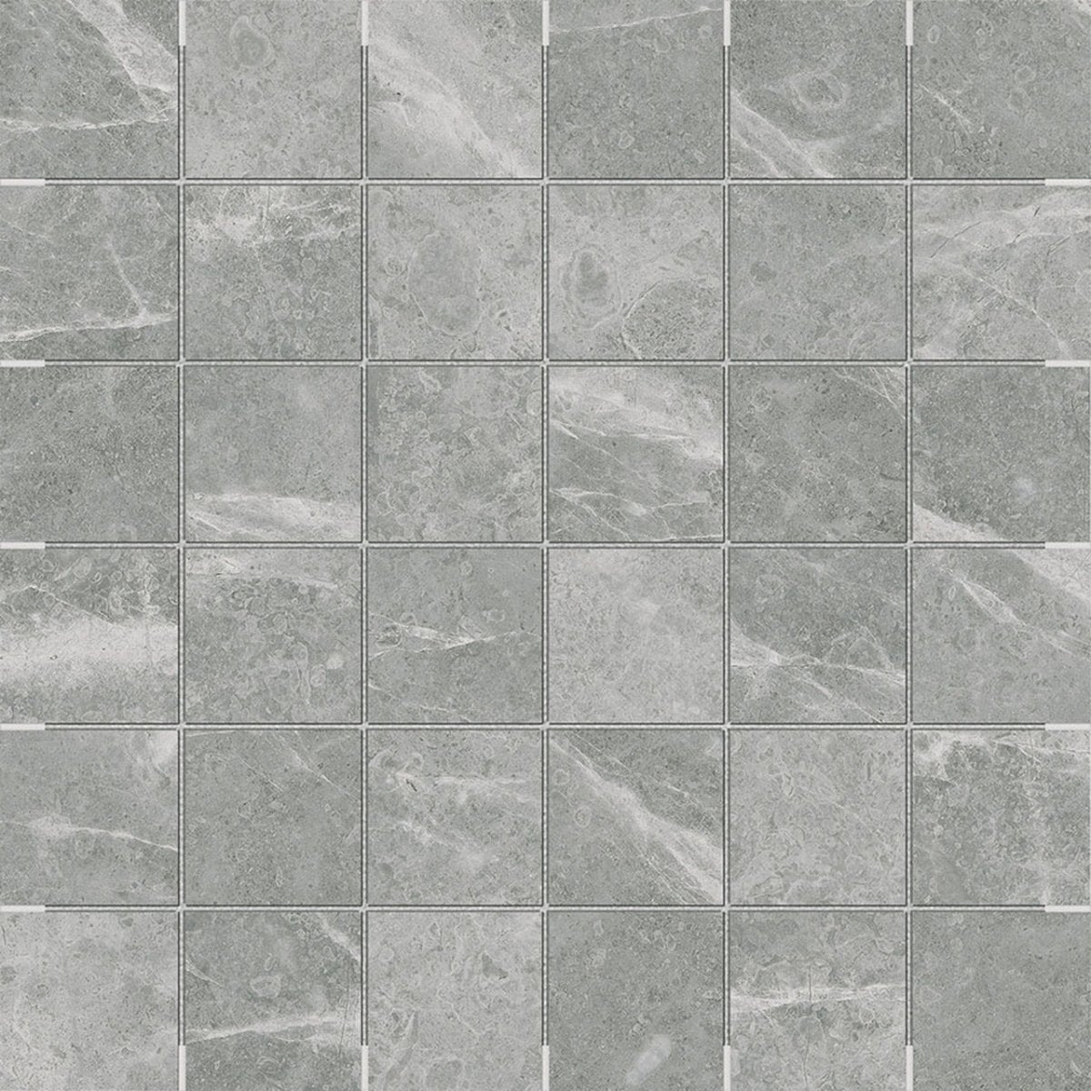 2 X 2 In Torino Argento Matte Glazed Porcelain Mosaic - BUILDMYPLACE