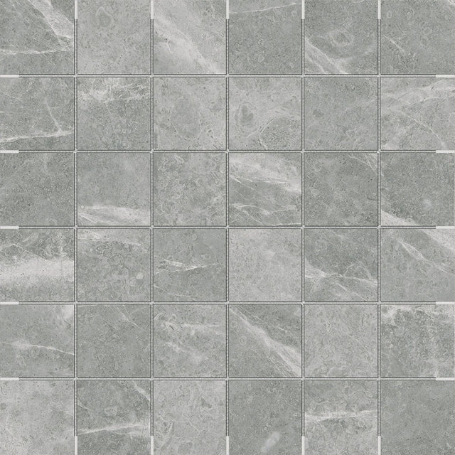 2 X 2 In Torino Argento Matte Glazed Porcelain Mosaic - BUILDMYPLACE