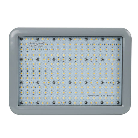 200 Watt LED Explosion Proof Flood Light, A Series, Dimmable, 5000K, 27000LM, AC100 - 277V, IP66, Hazardous Location Lighting Fixtures - BUILDMYPLACE