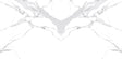 24 In. X 48 In. New Calacatta Bookmatch White Polished - Porcelain - Wall & Floor Tile (15.50 Sqft/Case) - BUILDMYPLACE