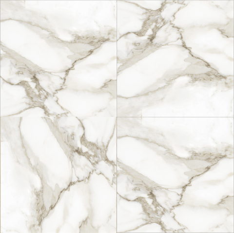 24 X 24 In La Marca Calacatta Paonazzo Polished Rectified Glazed Porcelain
