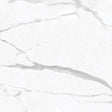 24 X 24 In La Marca Statuario Nuovo Polished Rectified Glazed Porcelain - BUILDMYPLACE