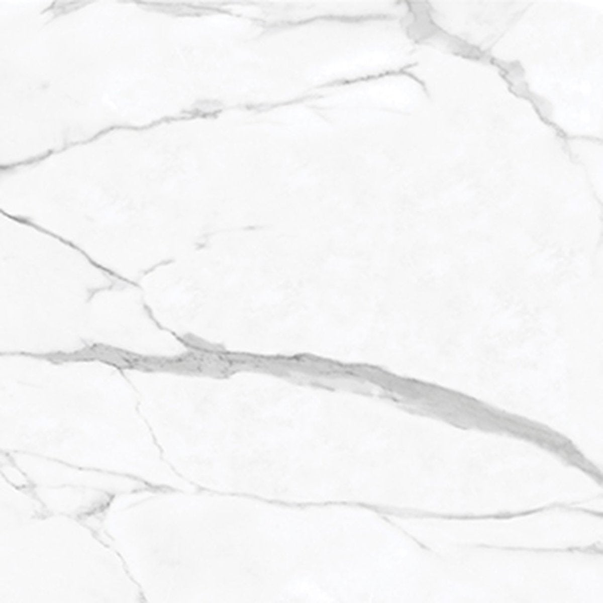 24 X 24 In La Marca Statuario Nuovo Polished Rectified Glazed Porcelain - BUILDMYPLACE