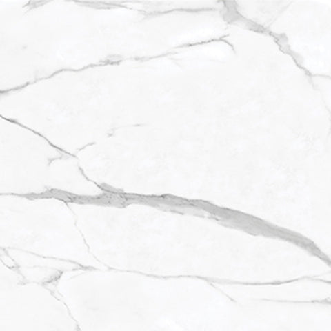 24 X 24 In La Marca Statuario Nuovo Polished Rectified Glazed Porcelain