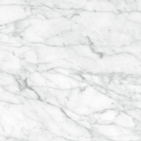 24 X 24 In Plata Carrara Abisso Matte Rectified Glazed Porcelain