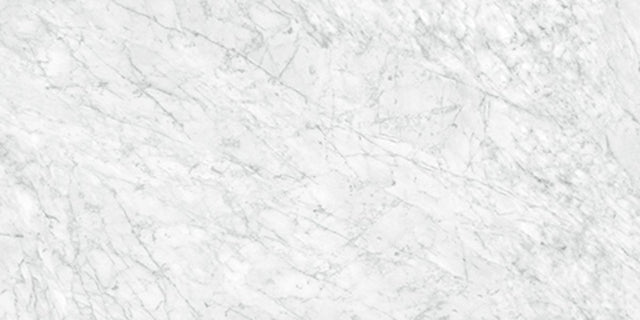 24 X 48 In La Marca Carrara Polished Rectified Glazed Porcelain - BUILDMYPLACE