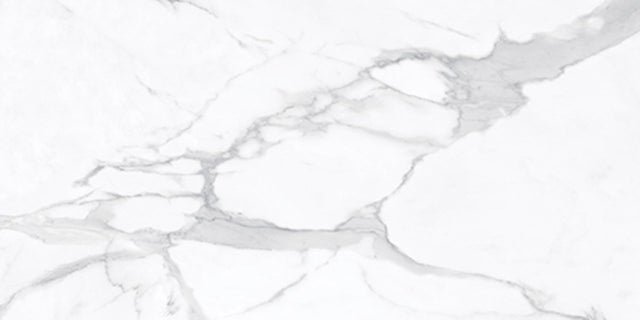 24 X 48 In La Marca Statuario Nuovo Polished Rectified Glazed Porcelain - BUILDMYPLACE