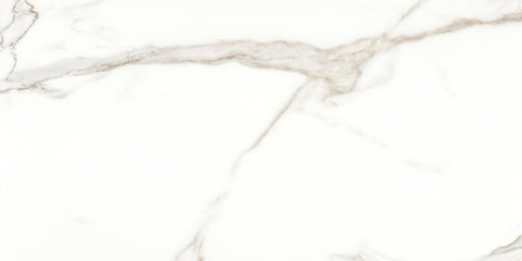 24 X 48 In Mayfair Calacatta Oro Polished Rectified Glazed Porcelain