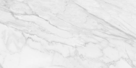 24 x 48 in. Plata Statuario Brina Polished Rectified Glazed Porcelain Wall Tile - BUILDMYPLACE