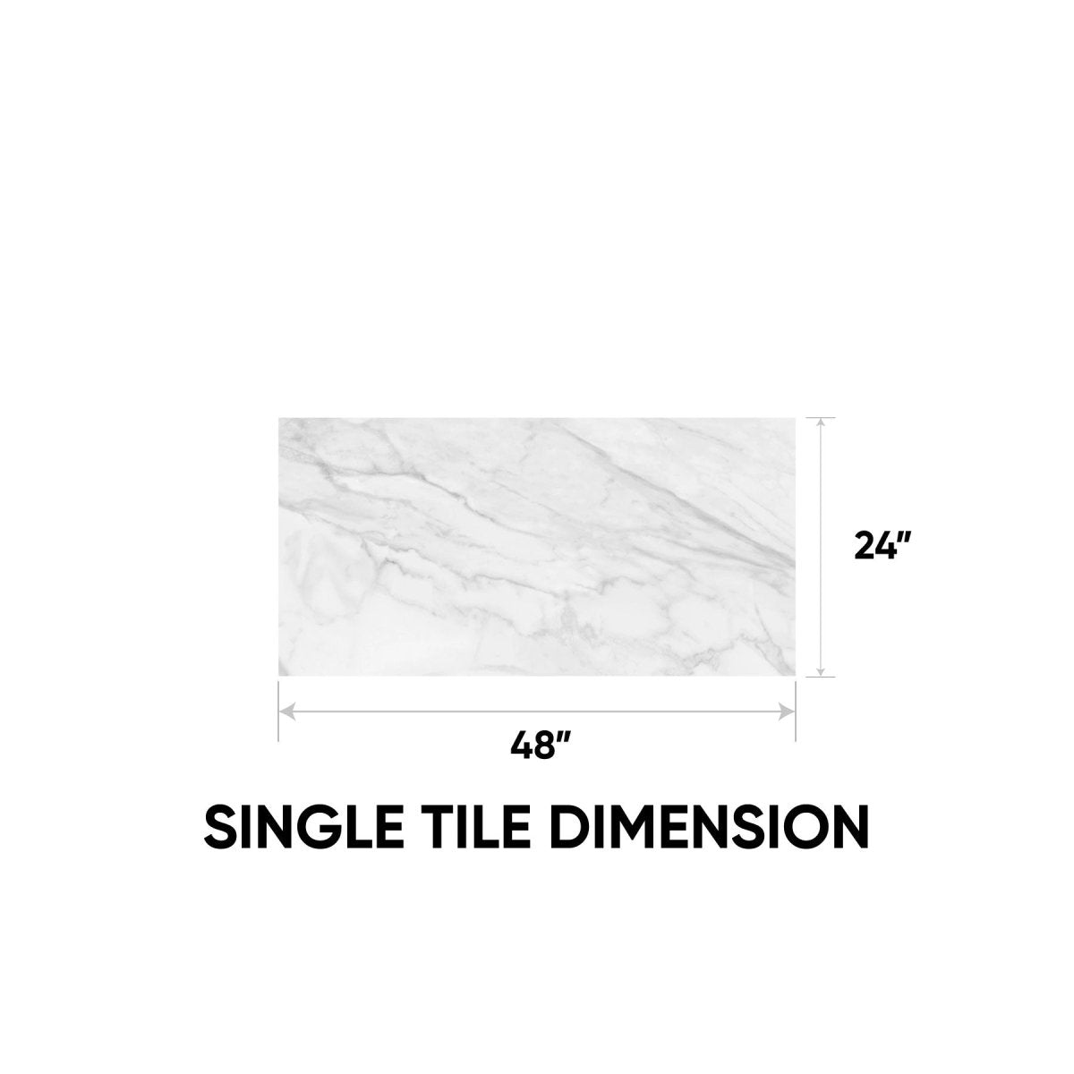 24 x 48 in. Plata Statuario Brina Polished Rectified Glazed Porcelain Wall Tile - BUILDMYPLACE