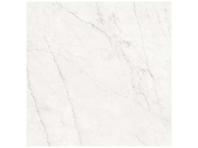24 x 24 in Majesto Ariel Bianco Polished Rectified Colorsync Porcelain Tile