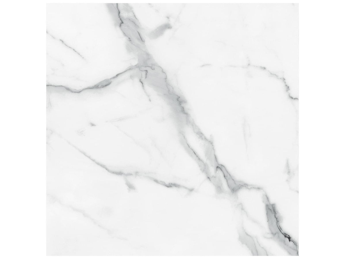 24 x 24 in Majesto Statuario Honed Rectified Colorsync Porcelain Tile
