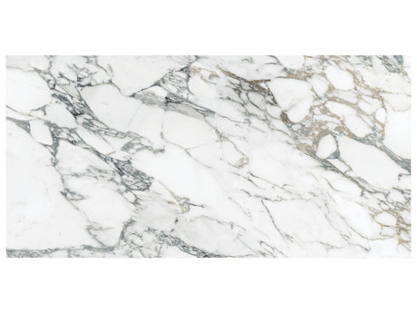24 x 48 in Majesto Arabescato Corchia Polished Rectified Colorsync Porcelain Tile