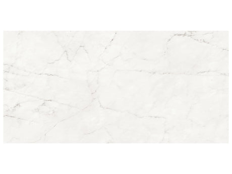 24 x 48 in Majesto Ariel Bianco Polished Rectified Colorsync Porcelain Tile