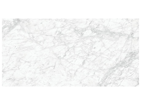 24 x 48 in Majesto Bianco Gioia Polished Rectified Colorsync Porcelain Tile