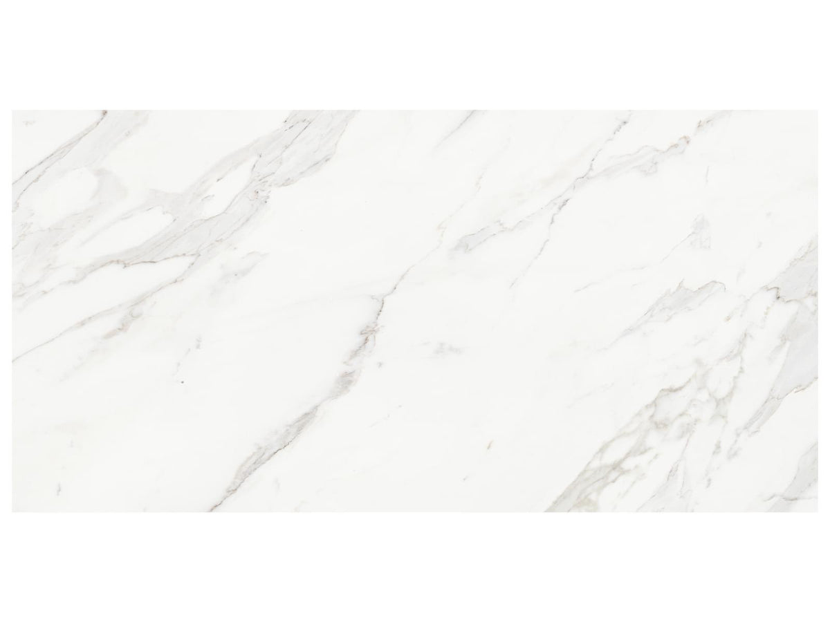 24 x 48 in Majesto Calacatta Borghini Honed Rectified Colorsync Porcelain Tile
