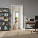 Ivanees 1-Panel Hollow Core Molded Shaker Door Slab - Madison 80 Inch Height