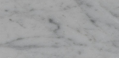 3 X 6 in. Bianco Carrara White Honed Marble Tile - BUILDMYPLACE