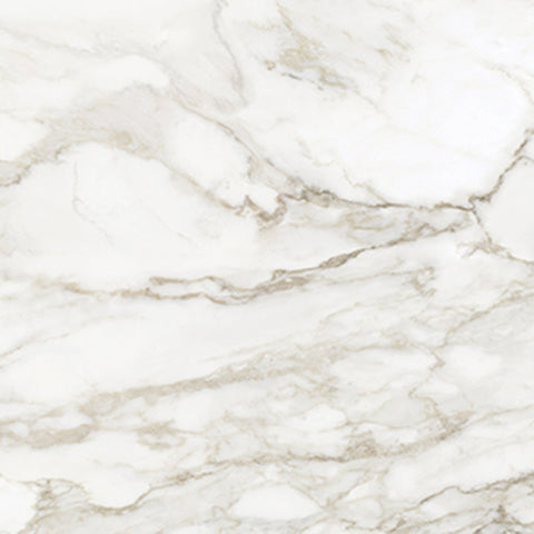 32 X 32 In La Marca Calacatta Paonazzo Honed Rectified Glazed Porcelain