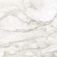 32 x 32 in. La Marca Calacatta Paonazzo Polished Rectified Glazed Porcelain Wall Tile - BUILDMYPLACE