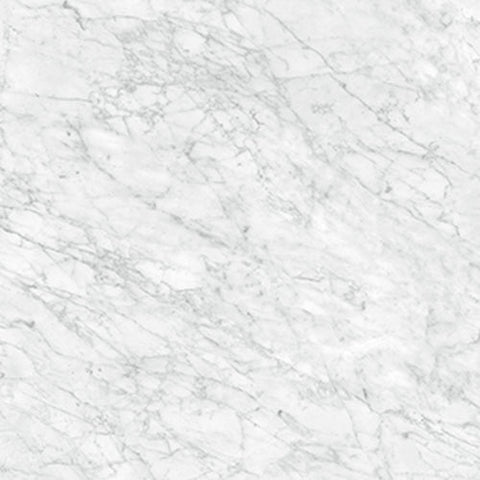 32 X 32 In La Marca Carrara Gioia Polished Rectified Glazed Porcelain