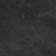 32 X 32 In La Marca Nero Venato Honed Rectified Glazed Porcelain - BUILDMYPLACE