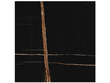 Sahara Noir