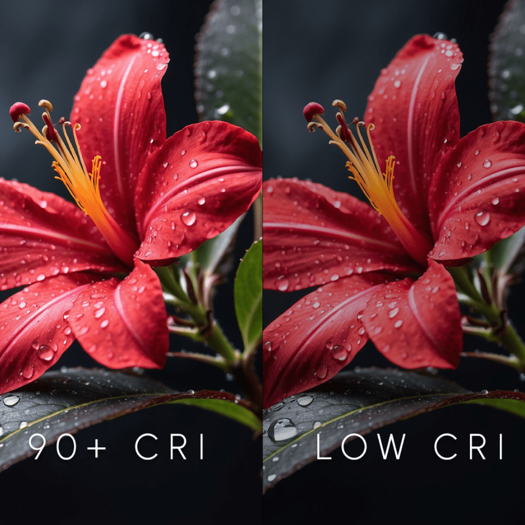 4 Inch Ultra Thin LED Downlights, 10W, Round, Surface Mount Disk Light, Dimming, ETL and Energy Star Listed, Recessed Downlights For Entrances, Living Rooms, Dens - BUILDMYPLACE