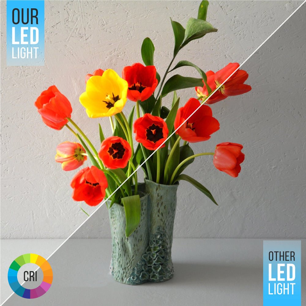 5"/6" LED Recessed Lighting, 15W, Triac Dimming, Round Surface Mount Disk Light, ETL & Energy Star Listed - For Family Rooms, Kitchens, Hallways, and Basements - BUILDMYPLACE