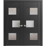 Solid French Double Doors Frosted Glass | Sete 6933 Matte Black | Wood Solid Panel Frame Trims | Closet Bedroom Sturdy Doors