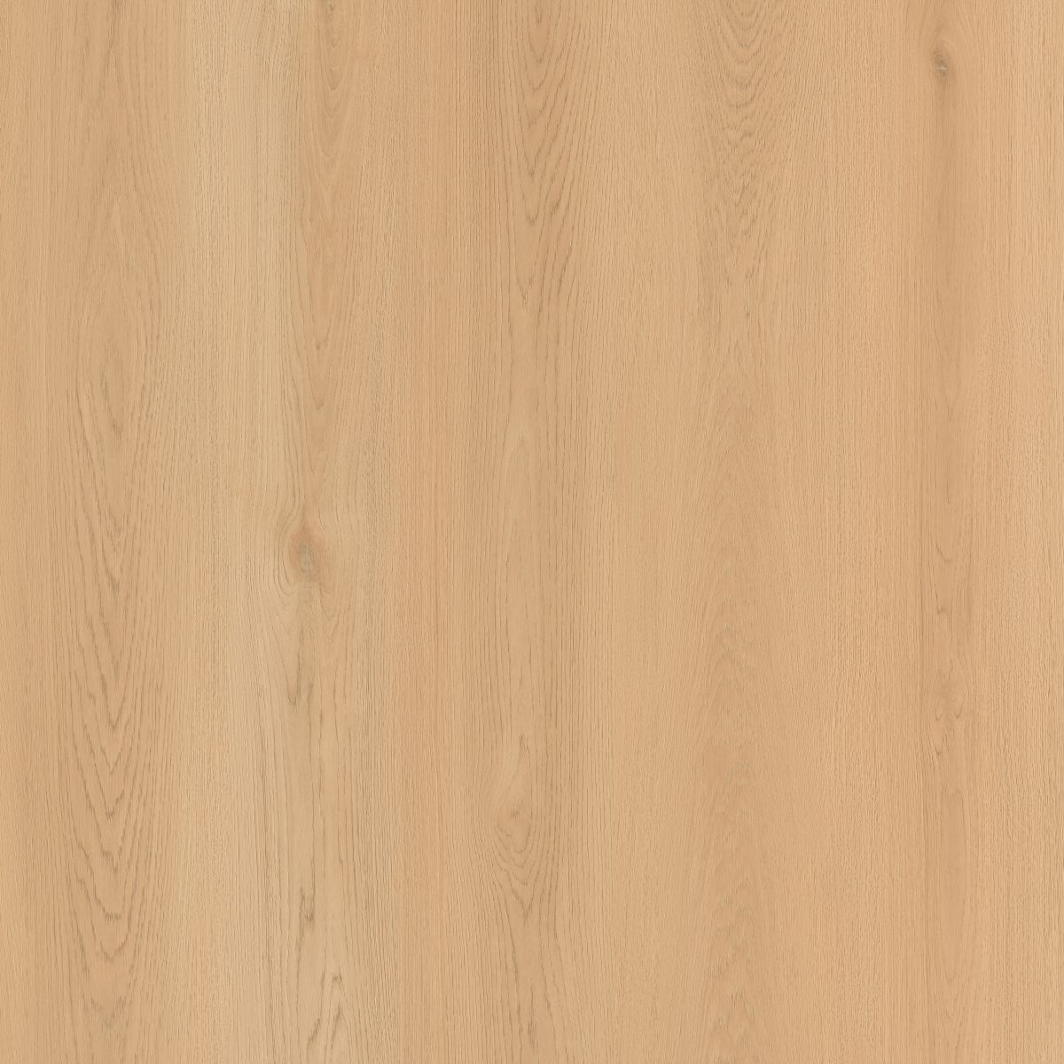 WPC Luxury Vinyl Flooring, Click Lock Floating, Seashell Radiance, 9.5" x 84" x 10mm, 30 mil Wear Layer - SEASIDE SUMMIT Collection (32.41 SQ FT/ CTN)