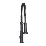 ZLINE Apollo Kitchen Faucet in Matte Black (APL-KF-MB)