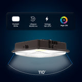 led canopy lights