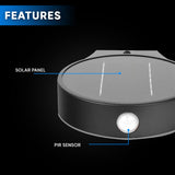 Solar Wall Light