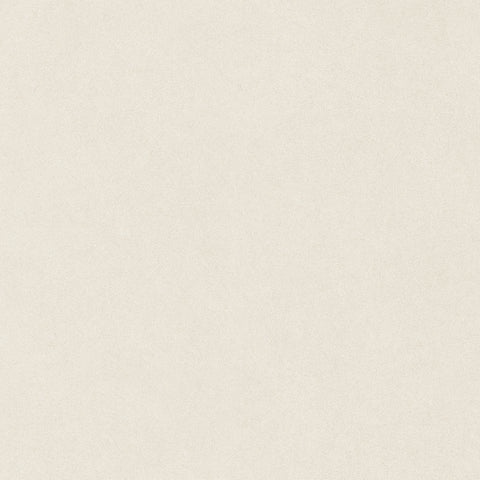 24 x 24 in Serena Crater Vintage Rectified Colorsync Porcelain Tile