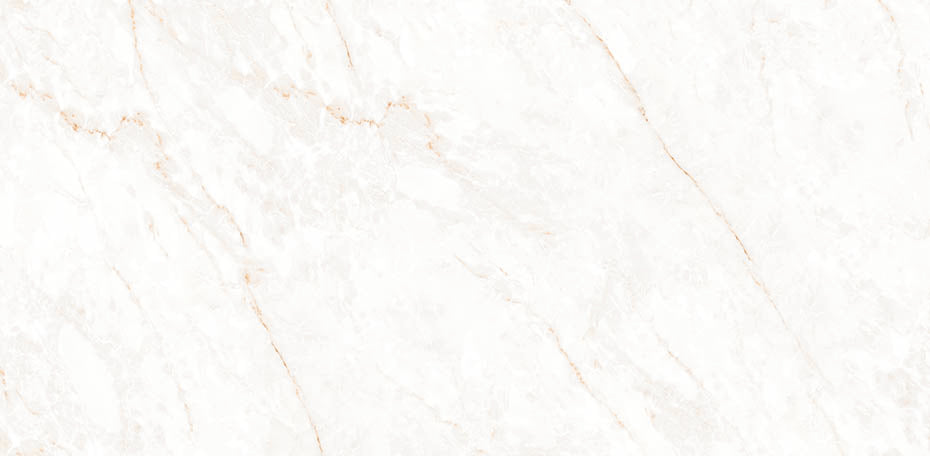 24 In. X 48 In. Calacatta Glam Polished - Porcelain Wall & Floor Tile (15.50 Sqft/Case)