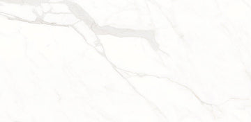 24 In. X 48 In. Calacatta Suave Polished - Porcelain Wall & Floor Tile (15.50 Sqft/Case)