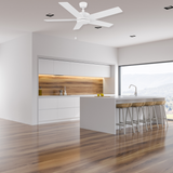 ASCOTT 52 In 5 Blade Smart Ceiling Fan Without  LED  Lights With Pull Chain