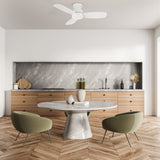 STANLEY 44 In 3 Blade Smart Ceiling Fan Without  LED  Lights With Remote