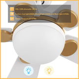 ZEPHYR 52 In 5 Blade Smart Ceiling Fan With Integrated LED Lights With Remote Control