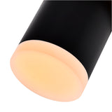 Lena Integrated LED 5in Black Mini Pendant