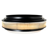 Valdivia 5 Light 22in Black Flush Mount